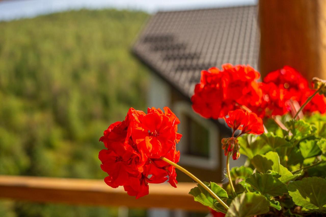 Konopka Guest House บูโคเวล ภายนอก รูปภาพ